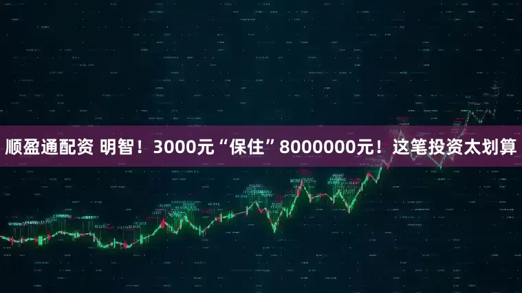 顺盈通配资 明智！3000元“保住”8000000元！这笔投资太划算